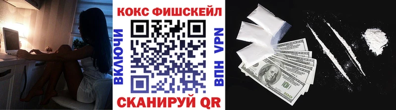 Cocaine FishScale  закладки  Яровое 
