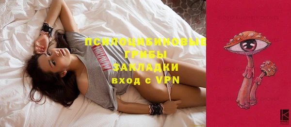 дмт Алексин
